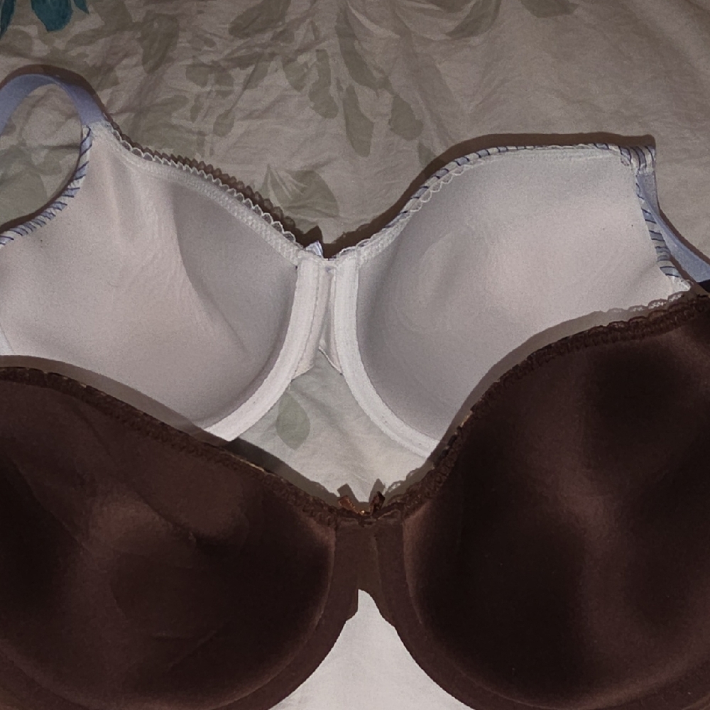 Victoria's Secret Brown Leopard and Blue Striped Bra Set - Picture 10 of 12